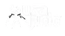 USA Judo
